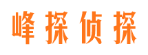 凤翔市婚外情调查